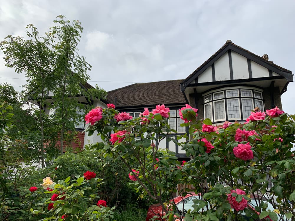 Whetstone Area Guide